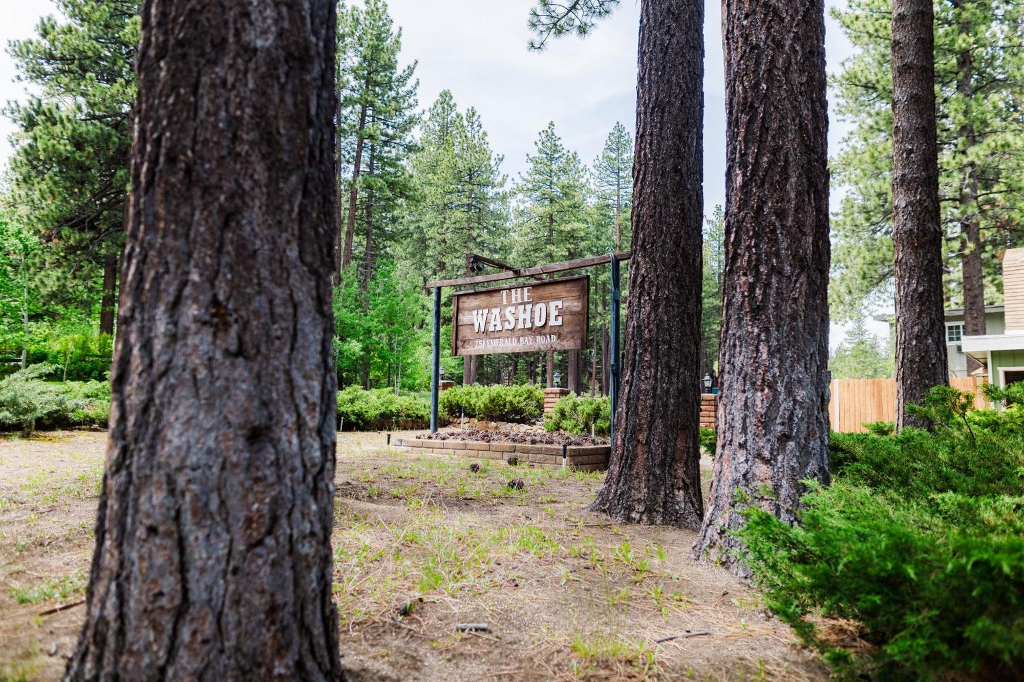 The Washoe 2*